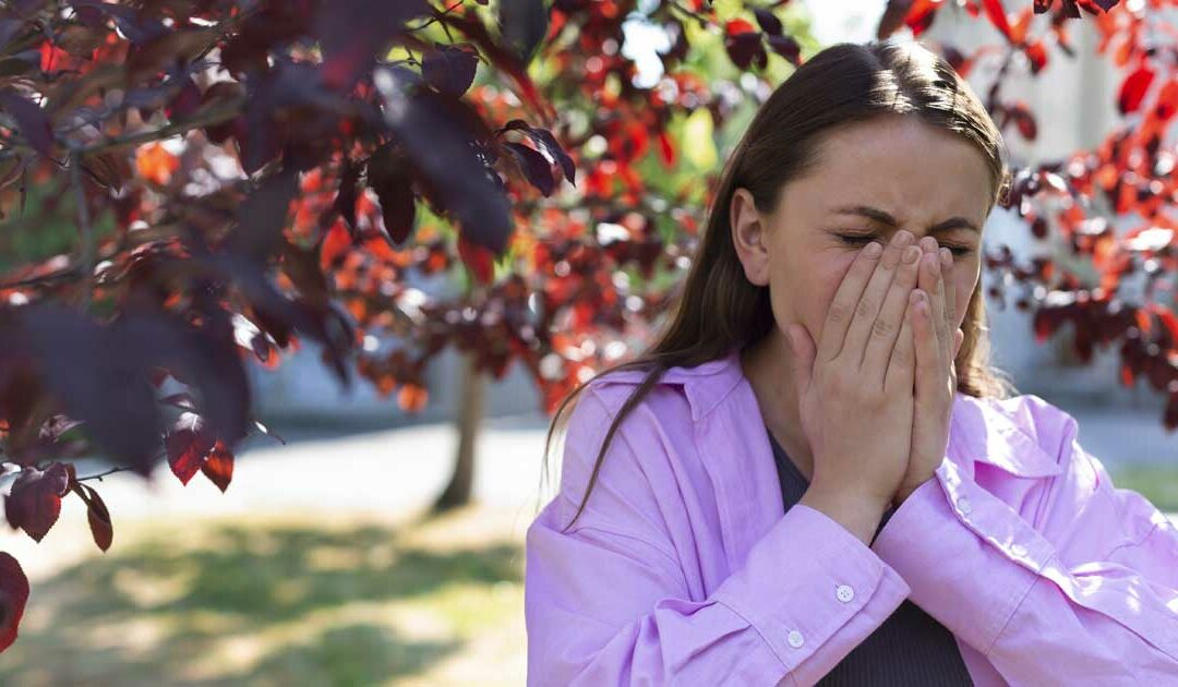 ALEX Test 2: Innovazione nella Diagnostica delle Allergie