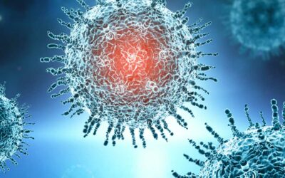 Papillomavirus Umano (HPV): Una Panoramica